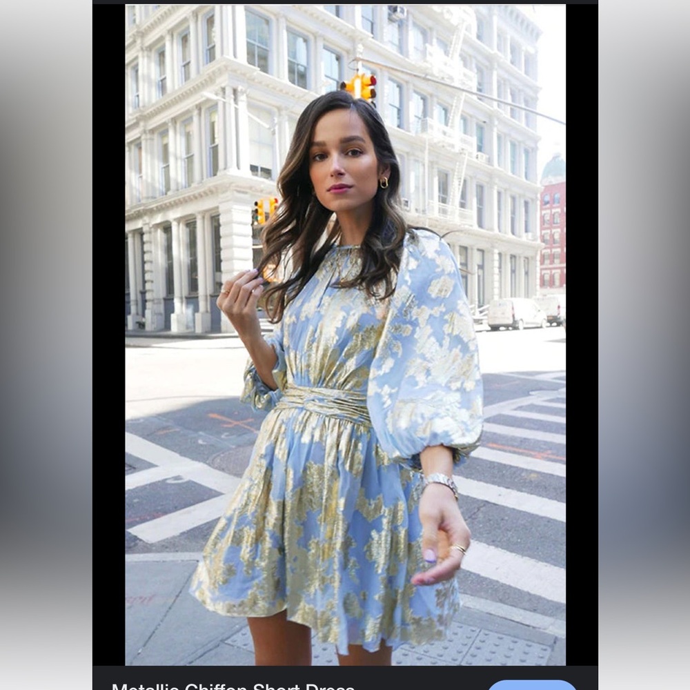Monique Lhuillier Metallic Chiffon Minidress (NEW WITH TAGS)